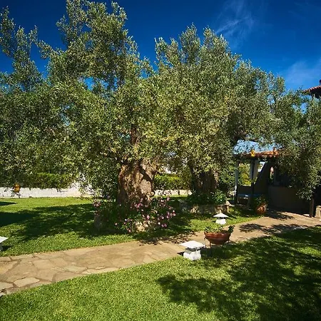 The Cosy Olive Hébergement de vacances