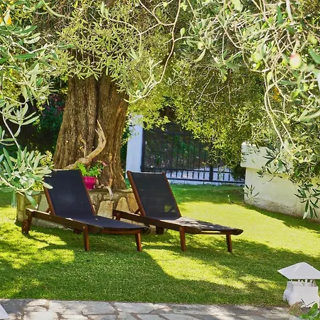 The Cosy Olive Hébergement de vacances *